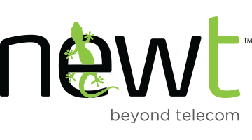 Newt Beyond Telecom Logo